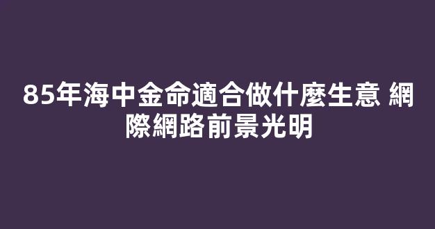 85年海中金命適合做什麼生意 網際網路前景光明